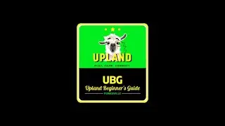 Upland | My Top 5 Tips To Grow Your Account