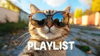 Dance Pop Playlist 🎧 Turn the Volume Up