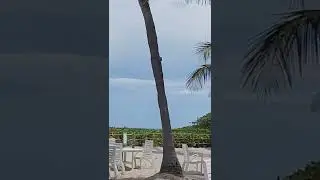 sex-on-the-beach @ #Deep #R&B #PompanoBeach #short #youtubeshorts #POV@DeepRestaurantandBar