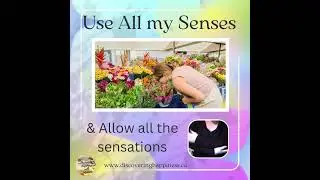 21.  All my senses and Sensations