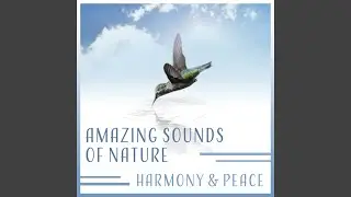Hypnotic Sounds for Sleep