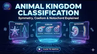 Animal Kingdom Classification Symmetry, Coelom & Notochord Explained