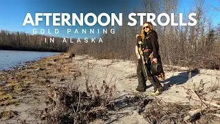 Alaska Afternoon Strolls vlog
