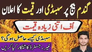 Wheat Seed Prices and Subsidy 2023 #wheat #wheatrates #wheatcrop #cropreformer