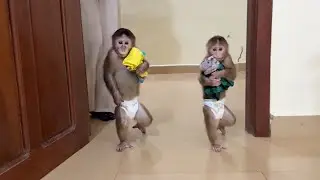 Pavpav & Chichi Bring Their Own Clothes From Morning Routine