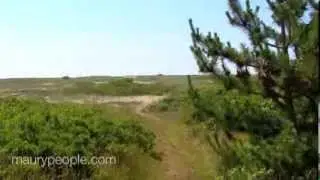 Nantucket Island, MA - Beachside in Sconset - 40 Low Beach Road, Siasconset