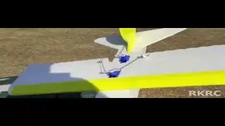 Baby Baron Fun in the Wind
