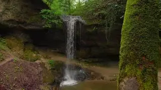 Swiss Landscape, Misty Forest- Wasserwelten im T&ouml;sstal
