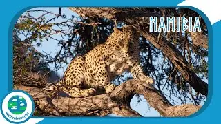 (1/3) Mit Gebeco nach Namibia - Atlantik, D&uuml;nen und wilde Tiere