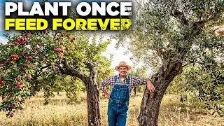 20 культур, которые живут более 100 лет (Вы сажаете один раз, а они питаются вечно).