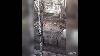 #short