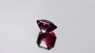 11550