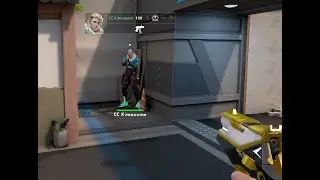 Shinybounds | Meme Series