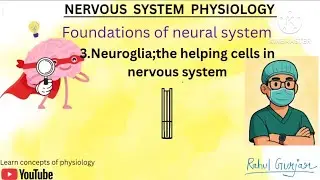 Neuroglia/glial cells/supporting cells of neural system/by Dr.Rahul/ MBBS physiology 