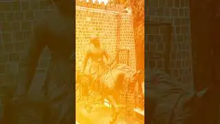 19th february 2025 birthday of   Chatrrapati shiva ji #shivajimaharaj #trending