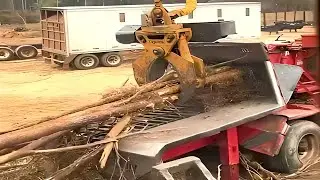 🚩Crazy Wood Chipper Machines Working  Fastest Big Tree Shredder Easy Wood Brush Chipper