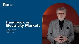 Schuman Shelf #11 - Handbook on electricity markets