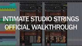 8Dio Intimate Studio Strings - Legato and Arcs