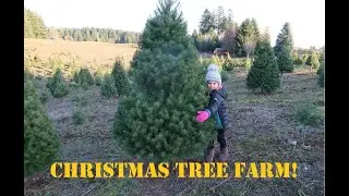 We went hunting... for a CHRISTMAS TREE!!