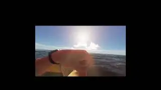 Shark Attacks Raft