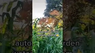How To Water 4000 Square Foot Garden