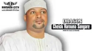 DRAGON - CHEICK HAROUNA SANGARE