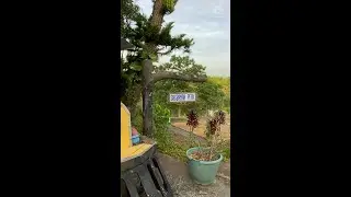 A tour at Sagbayan Peak amid Chocolate Hills controversy