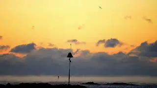 Sea Smoke Hampton (Jan 24, 2026)