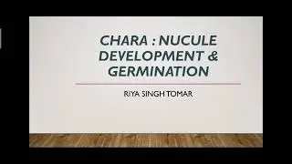 Chara : Fertilisation & Oospore Formation