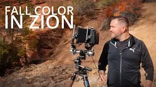 Finding Color in Zion | Large Format Photography Fall 2021 - Episode 1