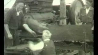In het veen, jaren '50