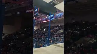 Go ZAGS