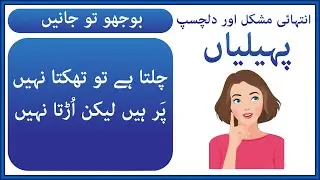 General Knowledge Common Sense Questions | Paheliyan In Urdu & Hindi | Urdu Riddles Episode 5