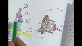اللوحة رقم 9 التروس الفرقية للمحور الخلفي ( الإكسل)