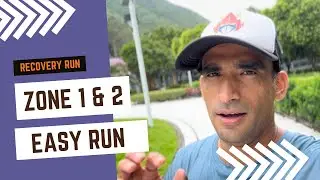 Easy / Recovery Run | Zone 1-2