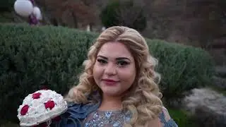 КЪНАТА НА ЗАХАРИНА И АЛЕКО