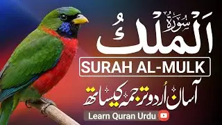 Surah Al-Mulk سورة الملك | Heart Touching Quran Telawat & Urdu Translation | Qari Mansoor Ghaznavi