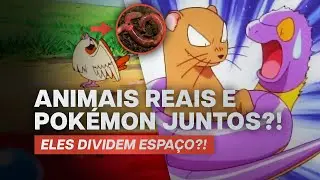 ANIMAIS NO MUNDO POK&Eacute;MON?!
