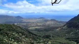 Mt Ka'ala