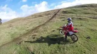 daisy bank trail ride