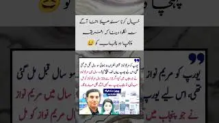 Pakistani funny Politicians | Maryam Nawaz Funny | Parvaiz Sandhela Funny