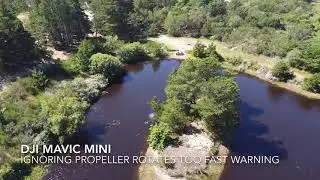 DJI Mavic Mini - ignoring Propellor(s) rotating too fast error and crashing your drone as a result