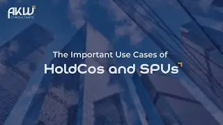 HoldCos vs. SPVs