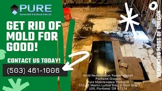 Mold Remediation Foster-Powell Portland Oregon - Pure Maintenance Portland - 503-461-1006