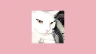 𝙋𝙡𝙖𝙮𝙡𝙞𝙨𝙩 나 오늘 왠지 예뻐 보임 | ratchet, R&B