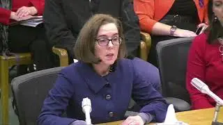 Gov. Kate Brown testifies in favor of new gun control bill