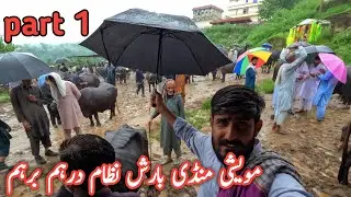 Latest price update from the largest animal market of AJK #dongimandi