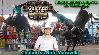 ¡Chalino Sanchez vs Niño Maravilla! Rancho el Guamuchil llego con toros nuevos a Taxhimay Edo. De M.