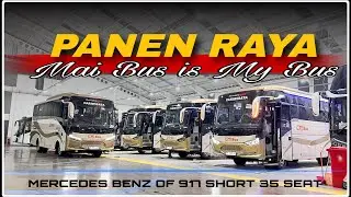 GOKIL‼️ Satu PO Panen Bus Baru, Mai Bus MERCY OF 917 Short FULL PARIWISATA 
