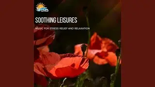 Sense of Peace